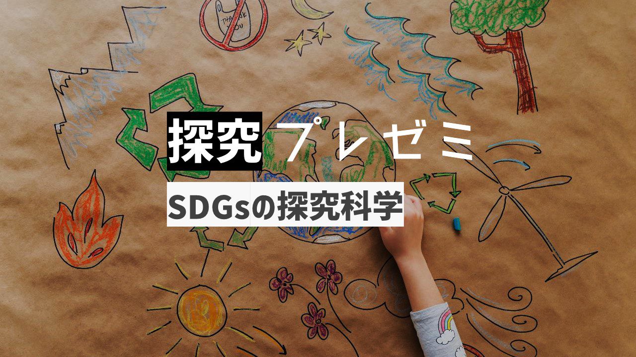 MY SONG 6訂版 | 渡瀬昌治 |本 | 通販 | Amazon